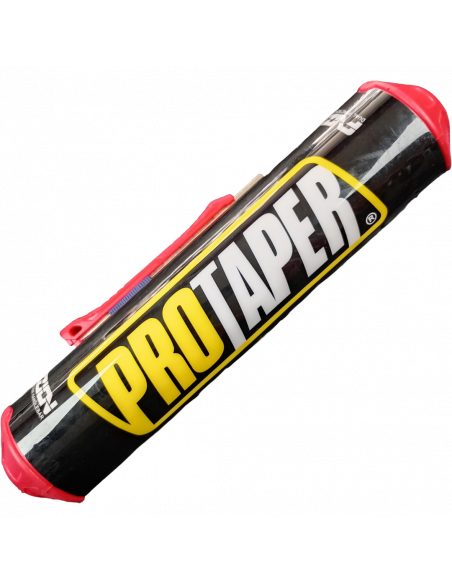 ESPONJAS PROTAIPER COLORES VARIADOS ROYAL