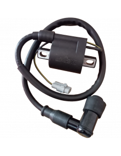 BOBINA DE BUJIA CON PIPETA FACTORY FX250 AK47 2
