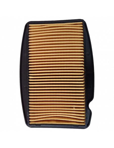 FILTRO DE AIRE LX250 CR5 XURI PREMIUM