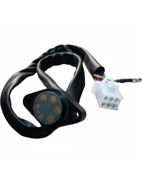 SOCKET INDICADOR DE CAMBIOS 2H 6P DY200 WOLF