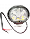 FOCO 6 LED ROYAL