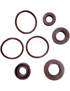 RETENEDOR DE MOTOR CB250 300 GRADOS XURI PREMIUM