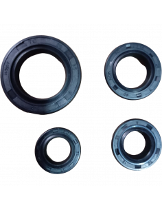 RETENEDOR DE MOTOR PULSAR 135LS 300 GRADOS XURI