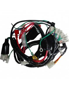 SISTEMA ELECTRICO (CABLEADO) BROSS 200 CUADRADO