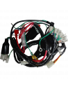 SISTEMA ELECTRICO (CABLEADO) BROSS 200 CUADRADO