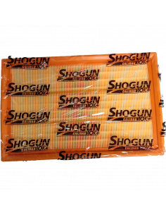 FILTRO AIRE AF9070 SHOGUN