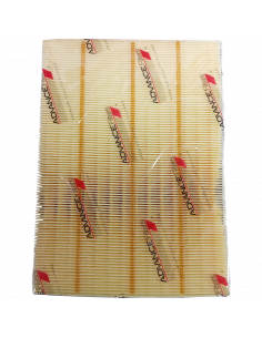 FILTRO AIRE AA-1531 ADVANCE 2
