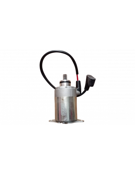MOTOR DE ARRANQUE FATTY 150 9T XURI
