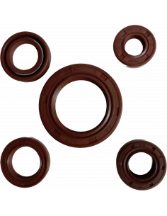 RETENEDOR DE MOTOR CG250 300 GRADOS XURI
