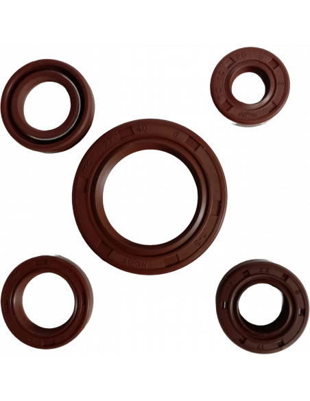 RETENEDOR DE MOTOR CG250 300 GRADOS XURI